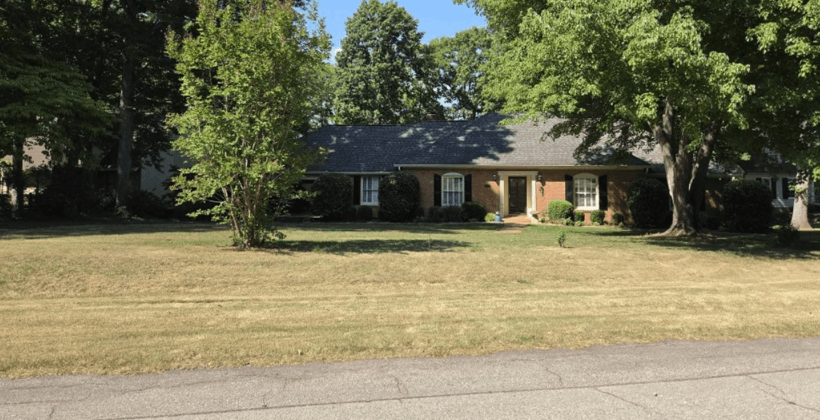 D&S Lawncare
